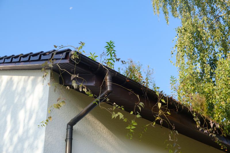 Round Gutters Installation